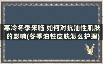 寒冷冬季来临 如何对抗油性肌肤的影响(冬季油性皮肤怎么护理)